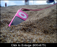 Musical Burial Offical Twilamore