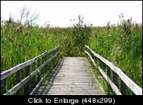 photo credit Vanessa Barger