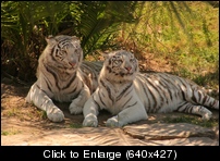 dHRc7fGvq2atgVdAmOCv