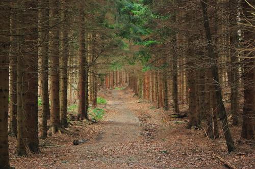 Photo by butkovicdub at morqueFile.