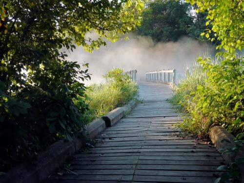 Photo by Natureworks at moqueFile.