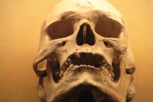 Photo by pedrojperez at morqueFile.