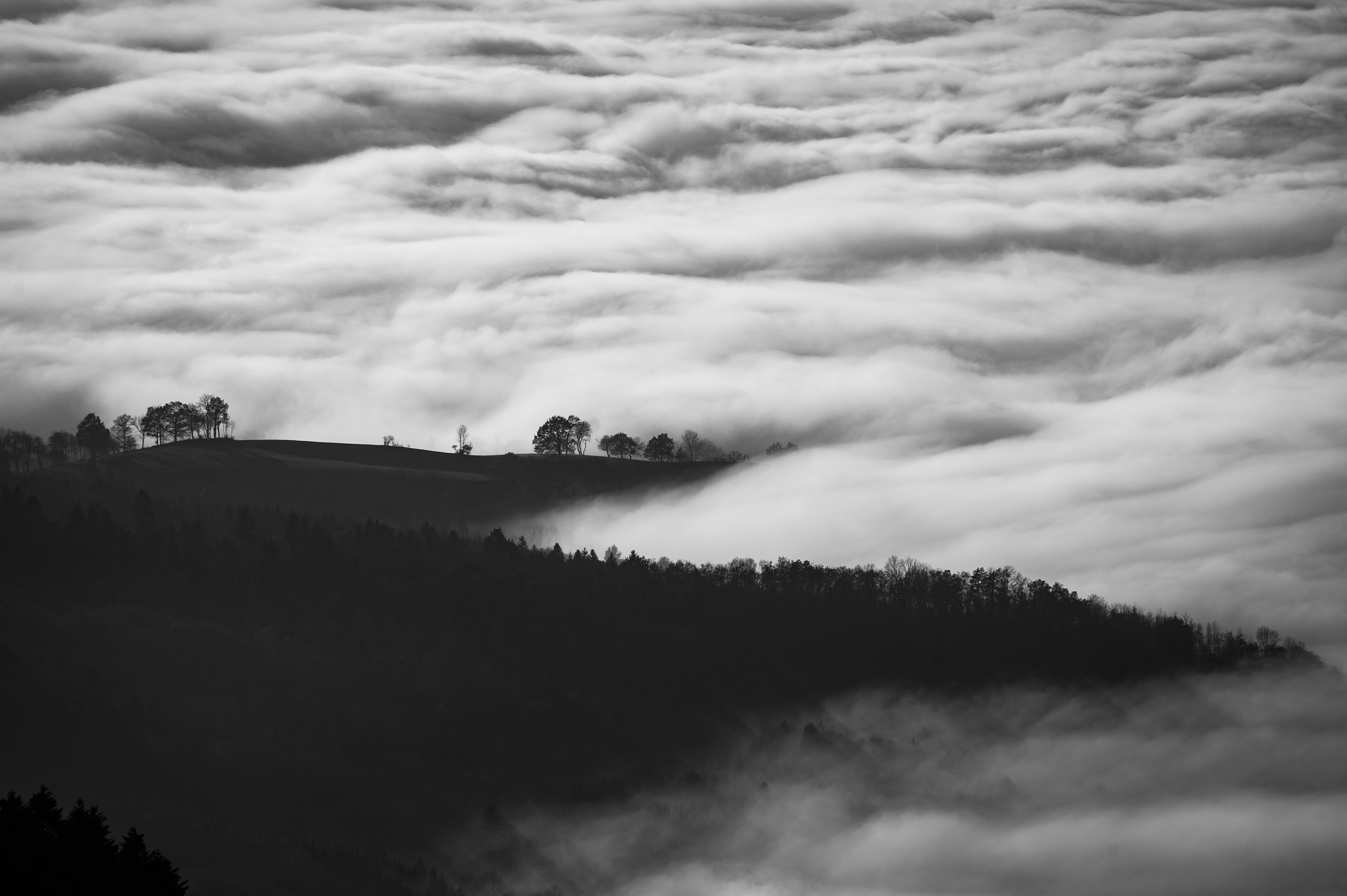 Oliver Miche Unsplash
