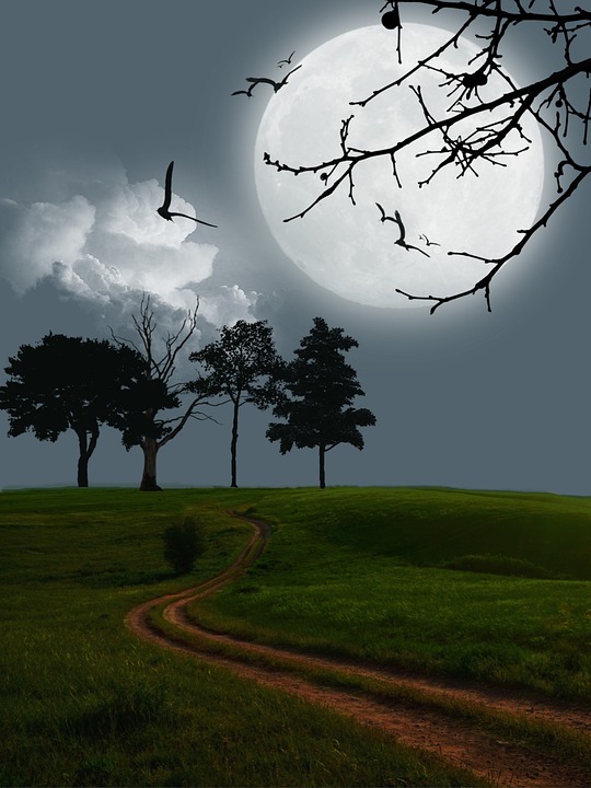 digital-art-399834_960_720