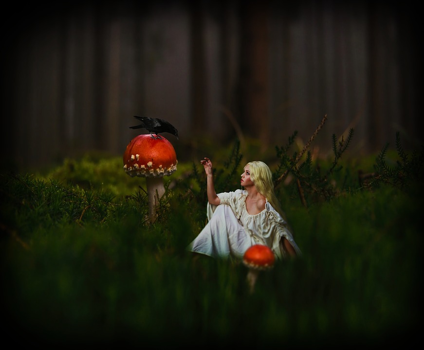 fantasy-1183665_960_720