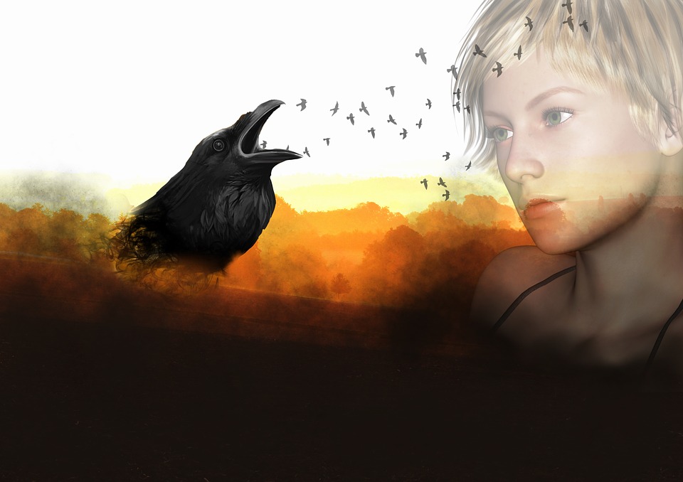 raven-1317295_960_720