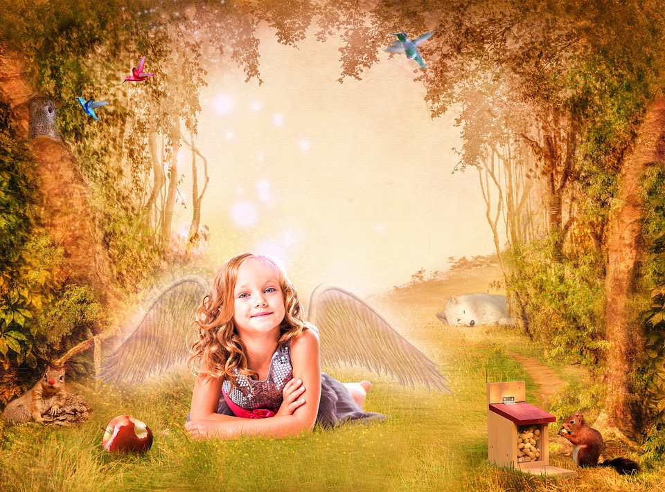 woods-1469191_960_720