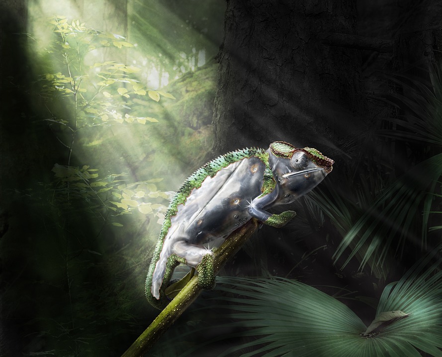 composing-1578784_960_720