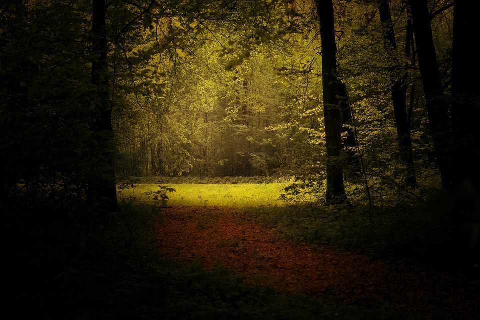 light-1345717_960_720