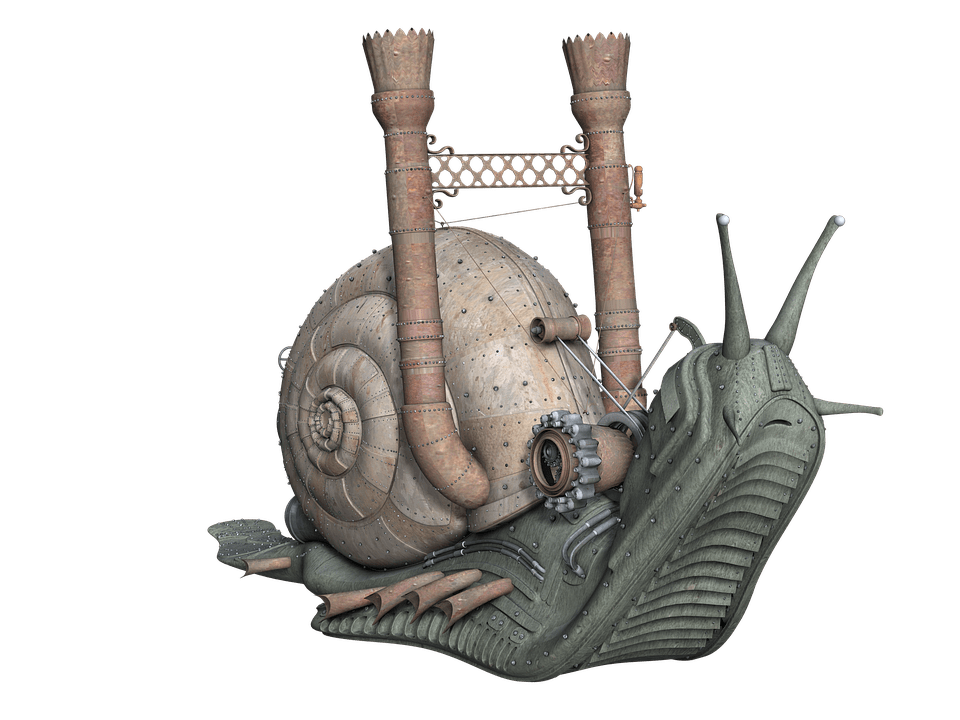 snail-1564410_960_720