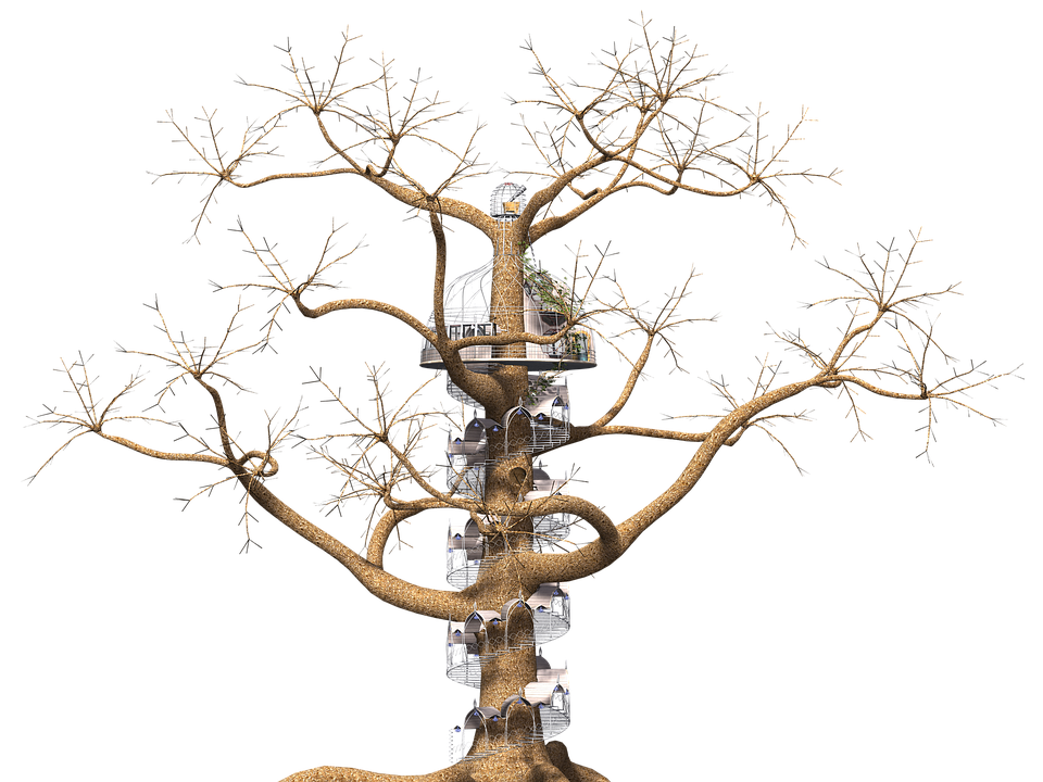 tree-1511604_960_720