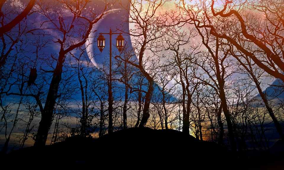 full-moon-1668805_960_720