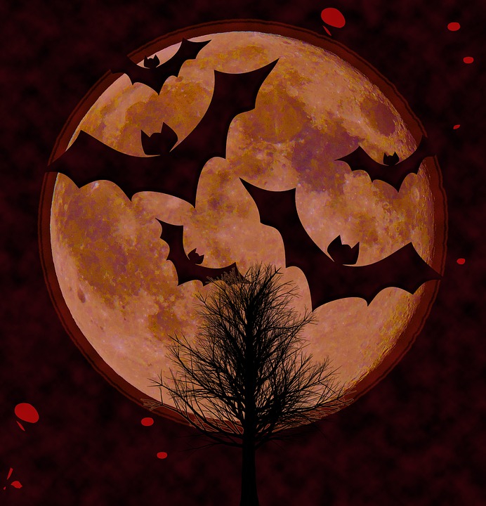 halloween-1679591_960_720