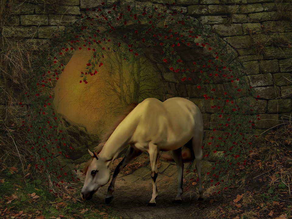 horse-1569148_960_720