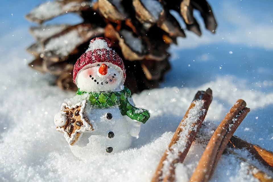 snow-man-1882635_960_720