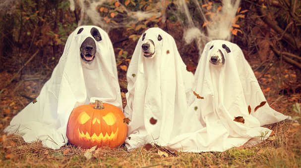 halloween-2870607__340