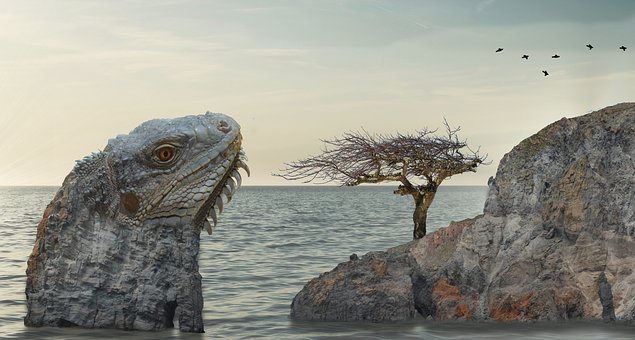 Big lizard, rock