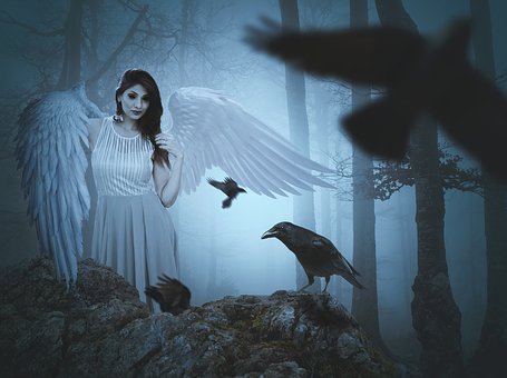 crows and an angel