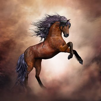 horse-3139429__340