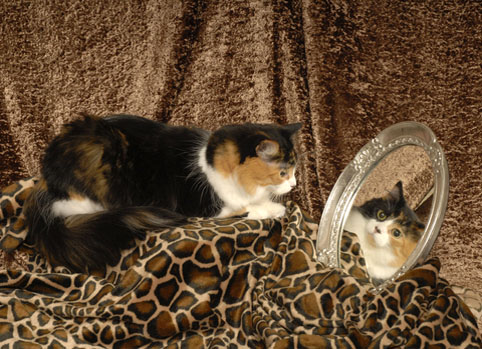 Lilith and mirror