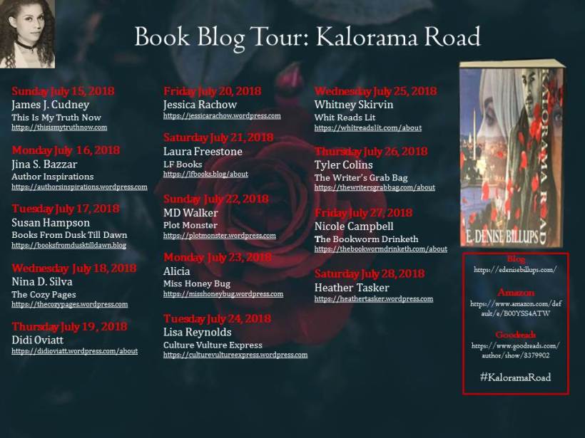 Blog Tour Banner - Kalorama Road 07-10-2018.jpg