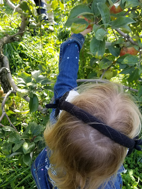20181014_102517
