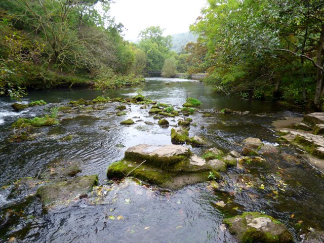 downriver