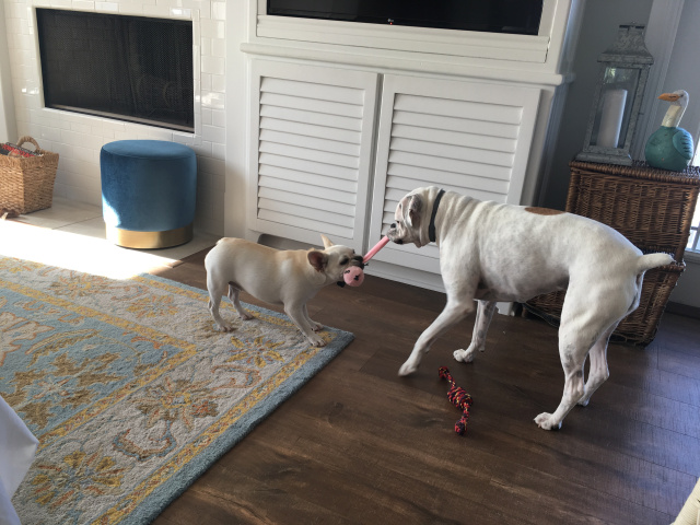 Lucy and Twiggy