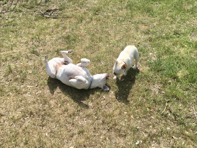 Twiggy and Lucy
