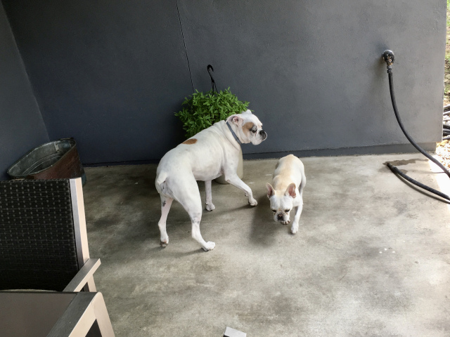 Lucy and Twiggy
