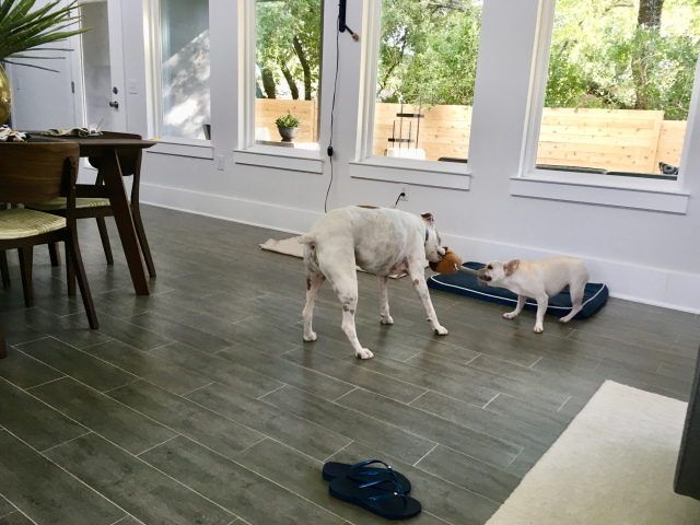 Twiggy and Lucy