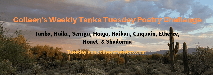 colleens-weekly-tanka-tuesday-poetry-challenge-3.png