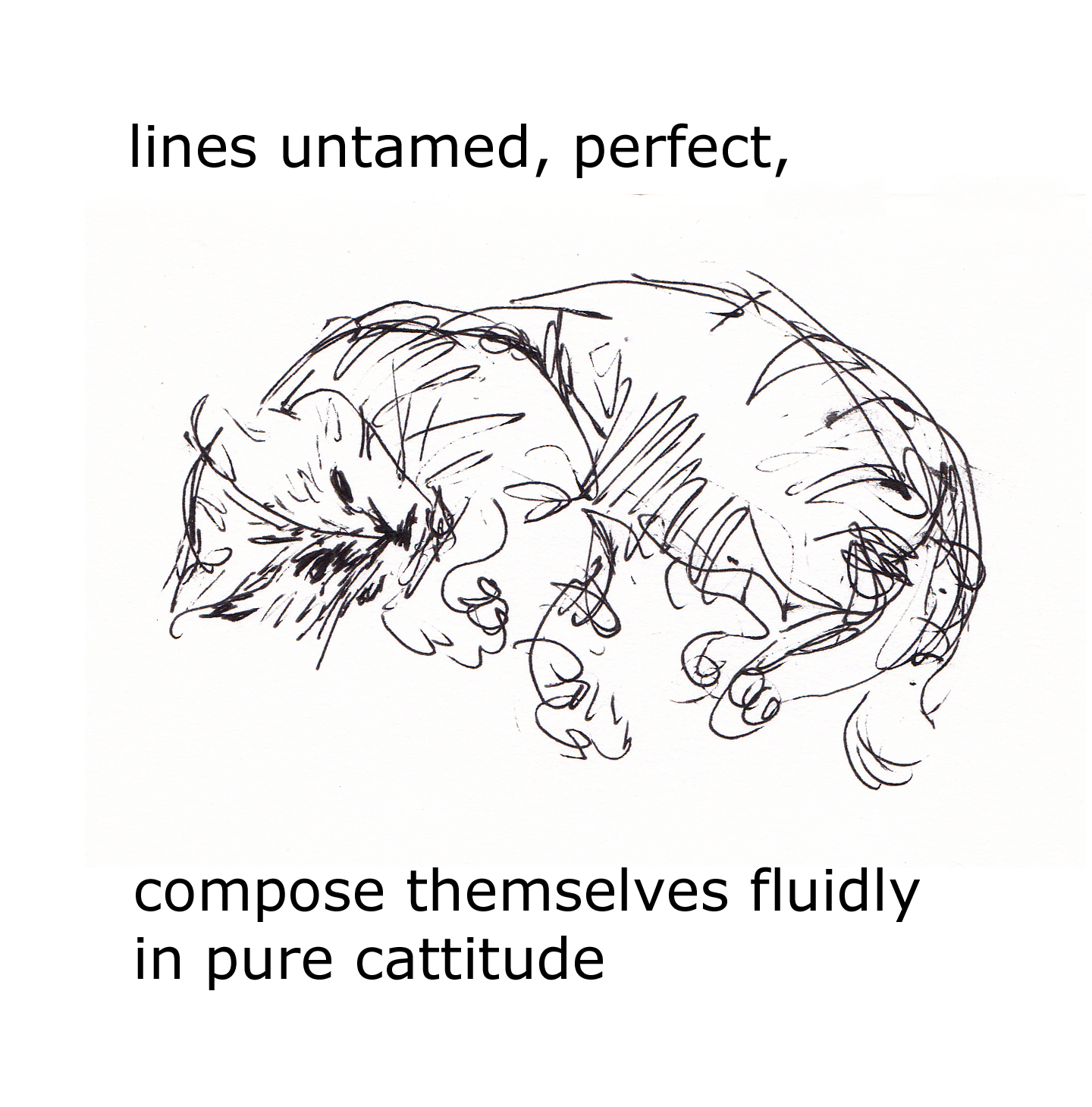 fe 3