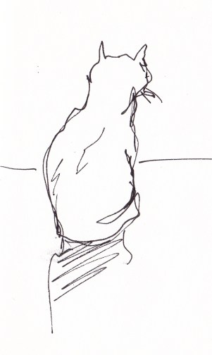 feline 3