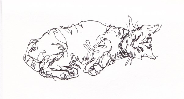 feline 4