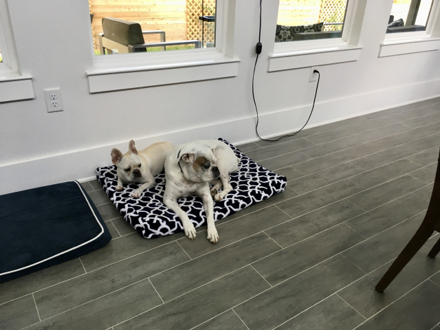 Twiggy and Lucy