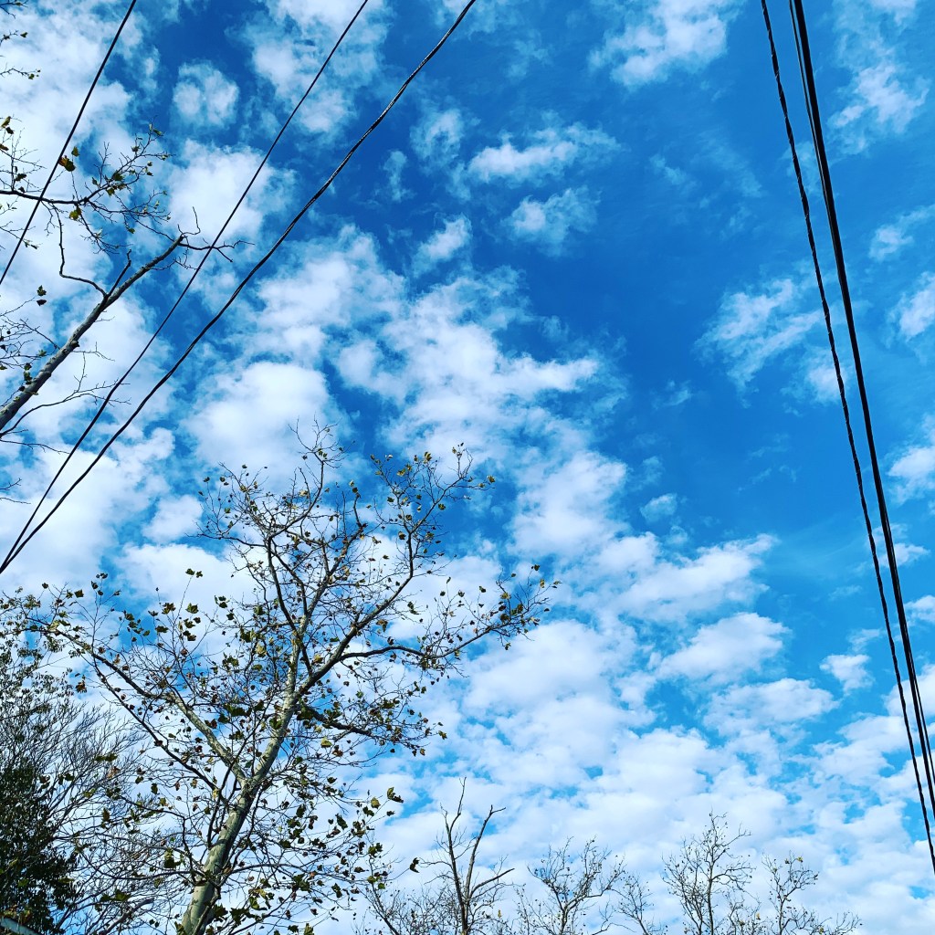 01CC2FF0-0C65-4313-B799-E819A84EC0EA