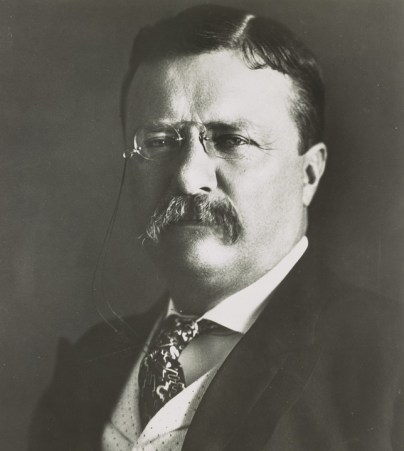theodore-roosevelt-393205_960_720