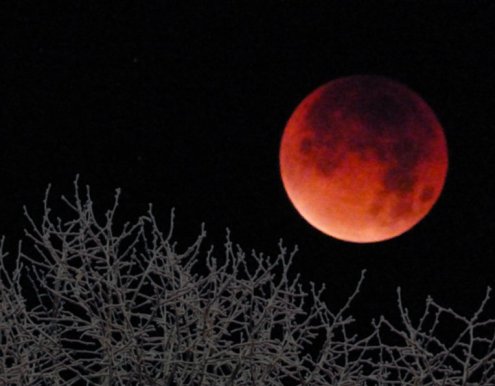 blood moon 010