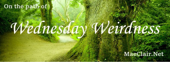 pathway between large, gnarled trees with words "on the path of Wednesday Weirdness" superimposed over image pathway between large, gnarled trees with words "on the path of Wednesday Weirdness" superimposed over image