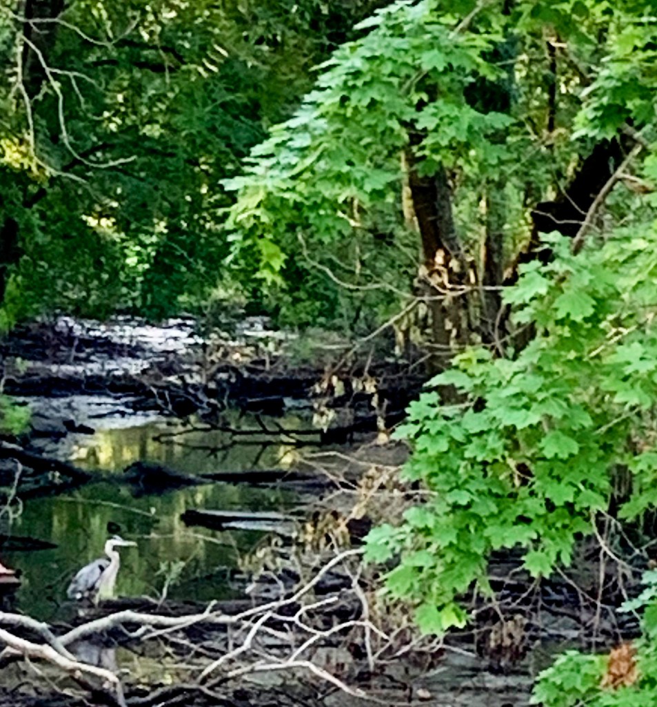 93FF3FAB-7003-4162-AC6A-7134B02151A7